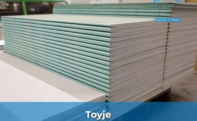 Toyje