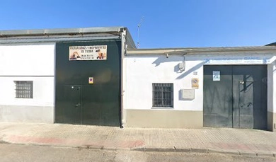 Escayolas Artesanía Saucedo